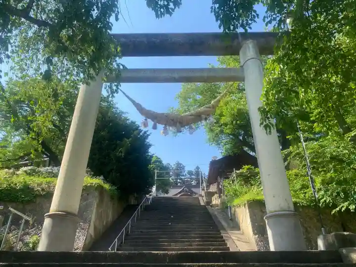 烏帽子山八幡宮の{uncategorized: "未分類", other: "その他", undefined: "問題あり", building: "その他建物", grave: "お墓", sacred_gate: "鳥居", guardian: "狛犬", statue: "像", buddha: "仏像", history: "歴史", nature: "自然", garden: "庭園", animal: "動物", pagoda: "塔", temizu: "手水舎", mountain_gate: "山門・神門", sanctuary: "本殿・本堂", subordinate: "末社・摂社", art: "芸術", scenery: "景色", jizo: "地蔵", ema: "絵馬", goshuin: "御朱印", omikuji: "おみくじ", items: "授与品その他", amulet: "お守り", goshuincho: "御朱印帳", eats: "食事", festival: "お祭り", votive_dance: "神楽", shichigosan: "七五三参", wedding: "結婚式", experience: "体験その他", initially: "初詣", around: "周辺", anti_infection: "感染症対策"}