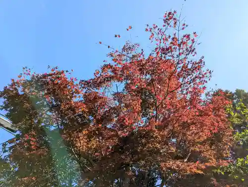 埴生神社の自然