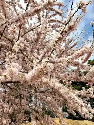 長松院(福島県)