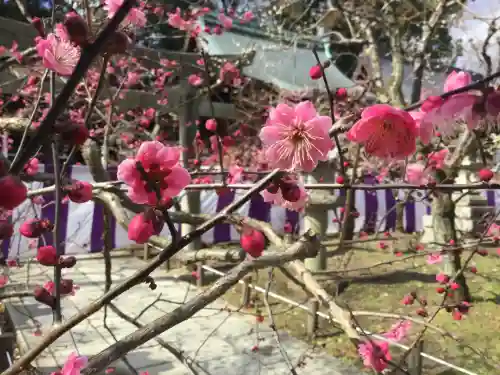 北野天満宮(京都府)