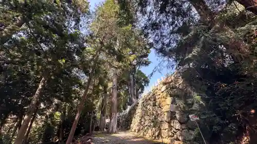 愛宕神社（阿多古神社）(京都府)