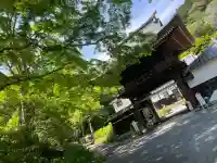 普門寺(切り絵御朱印発祥の寺)(愛知県)