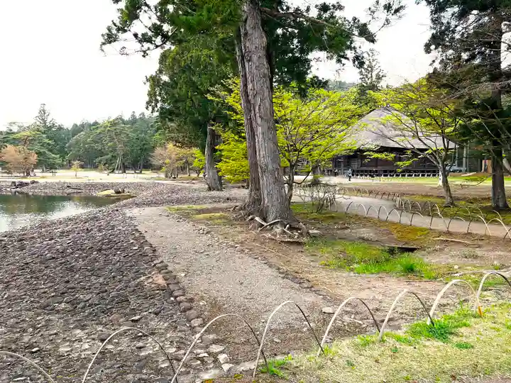 毛越寺(岩手県)