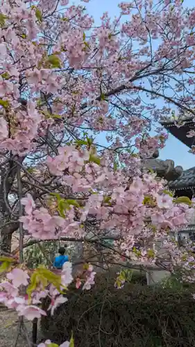 清凉寺(京都府)