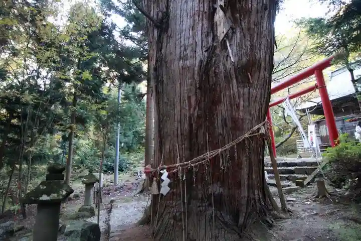 磐椅神社の自然
