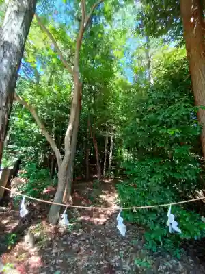 矢田坐久志玉比古神社の{uncategorized: "未分類", other: "その他", undefined: "問題あり", building: "その他建物", grave: "お墓", sacred_gate: "鳥居", guardian: "狛犬", statue: "像", buddha: "仏像", history: "歴史", nature: "自然", garden: "庭園", animal: "動物", pagoda: "塔", temizu: "手水舎", mountain_gate: "山門・神門", sanctuary: "本殿・本堂", subordinate: "末社・摂社", art: "芸術", scenery: "景色", jizo: "地蔵", ema: "絵馬", goshuin: "御朱印", omikuji: "おみくじ", items: "授与品その他", amulet: "お守り", goshuincho: "御朱印帳", eats: "食事", festival: "お祭り", votive_dance: "神楽", shichigosan: "七五三参", wedding: "結婚式", experience: "体験その他", initially: "初詣", around: "周辺", anti_infection: "感染症対策"}
