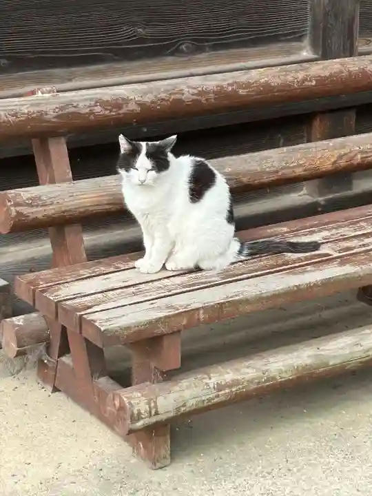 妻沼聖天山歓喜院の動物