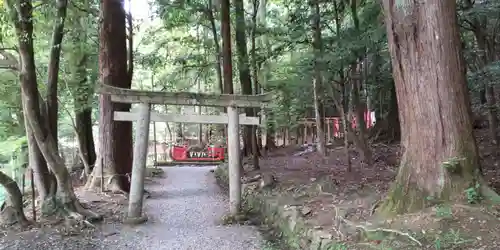 出雲大神宮の鳥居