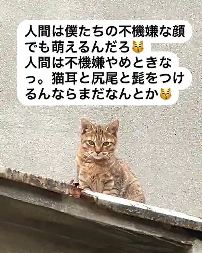 専念寺(大阪府)