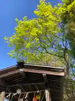 伊達神社のその他建物