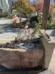 水堂須佐男神社の手水