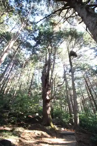 筑波山神社 女体山御本殿の自然