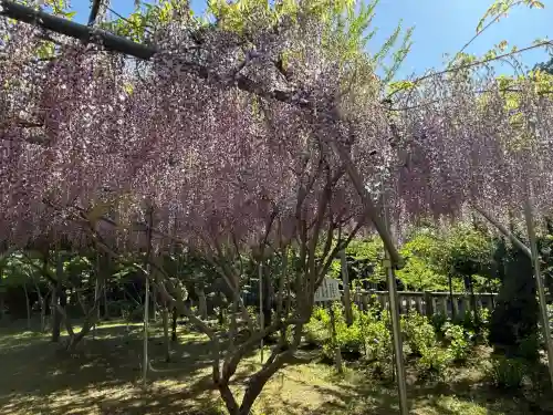 茨城縣護國神社(茨城県)