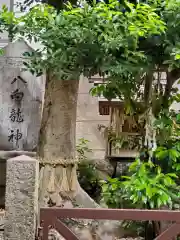 八白龍神社(愛知県)