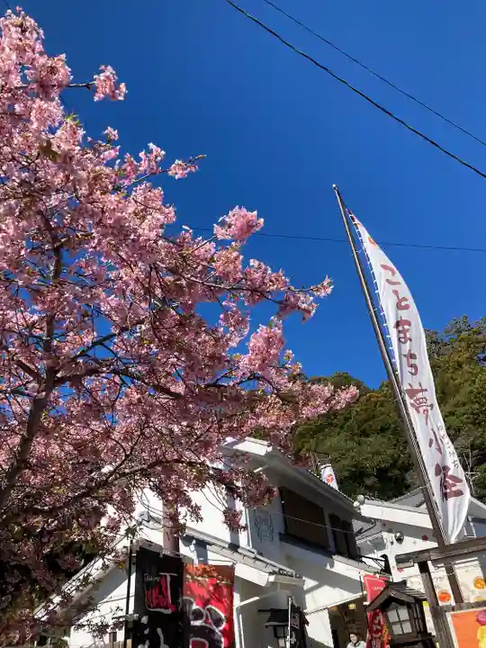 小國神社(静岡県)