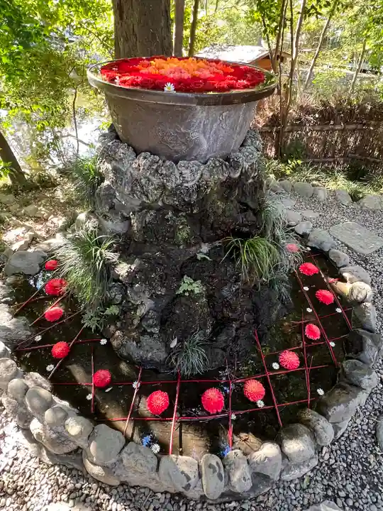 武蔵一宮氷川神社(埼玉県)