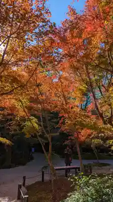 圓光寺(京都府)