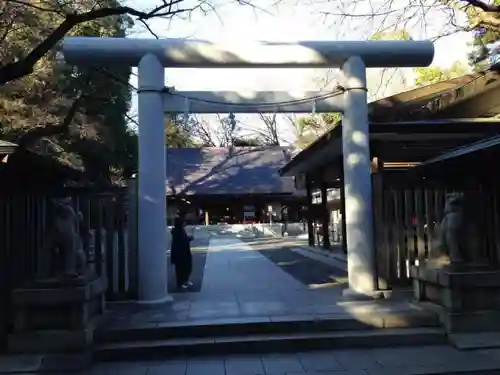 乃木神社の鳥居