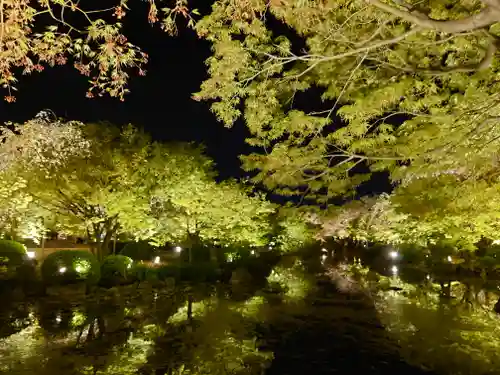 東寺（教王護国寺）の景色