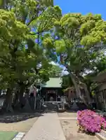 久里浜八幡神社(神奈川県)