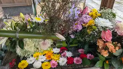 勝林寺(京都府)