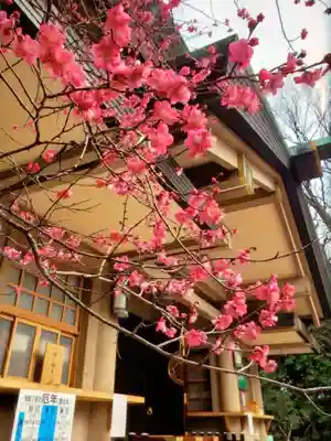 東郷神社(東京都)