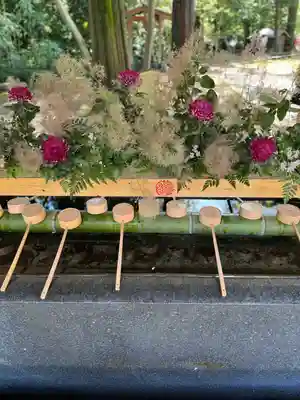 武蔵一宮氷川神社(埼玉県)