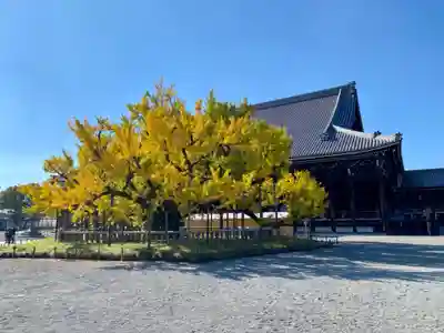本願寺（西本願寺）(京都府)
