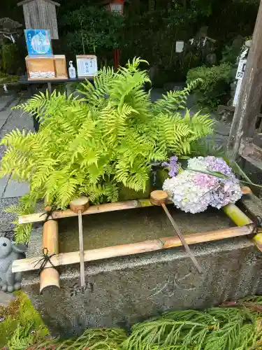 出雲大神宮(京都府)