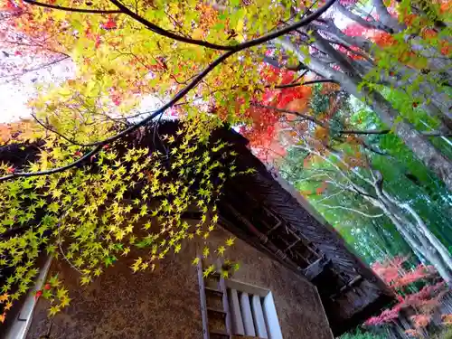 教林坊(滋賀県)