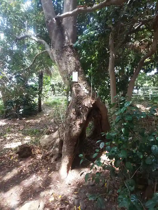 有鹿神社の自然