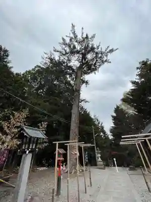 滑川神社 - 仕事と子どもの守り神(福島県)