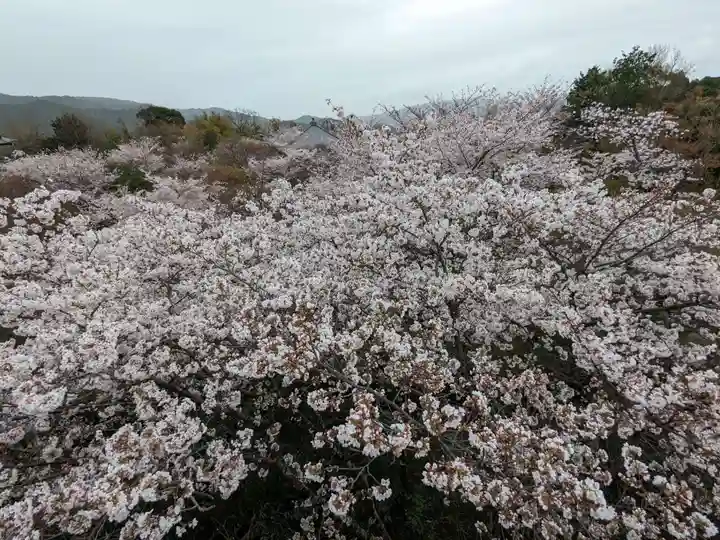 将軍塚青龍殿(青蓮院門跡)(京都府)