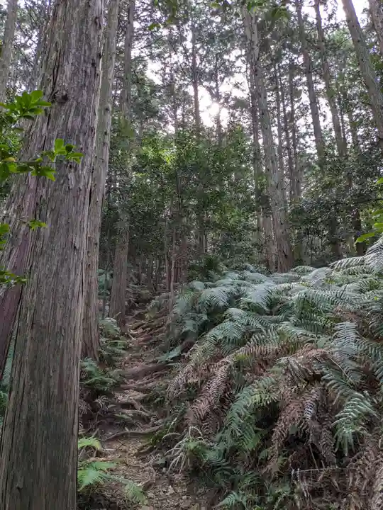 大縣神社(愛知県)