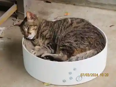 乗満寺(東京都)