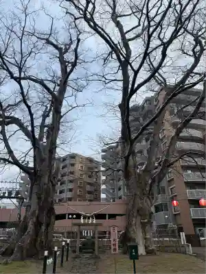 熊野神社(山形県)