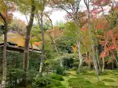 祇王寺の庭園