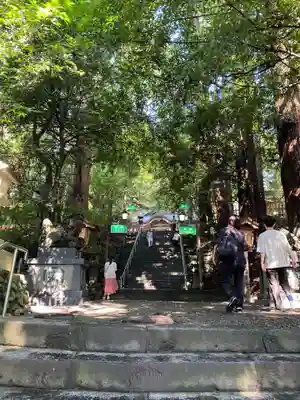 高千穂神社(宮崎県)