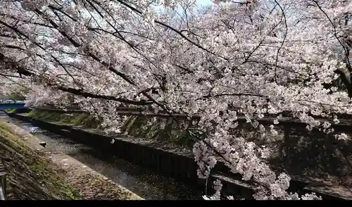 大宮八幡宮の自然