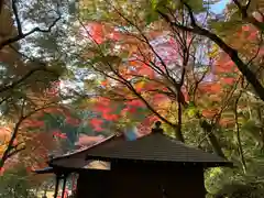 普門寺(切り絵御朱印発祥の寺)の建物その他