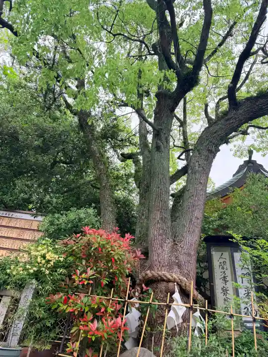 稲爪神社の{uncategorized: "未分類", other: "その他", undefined: "問題あり", building: "その他建物", grave: "お墓", sacred_gate: "鳥居", guardian: "狛犬", statue: "像", buddha: "仏像", history: "歴史", nature: "自然", garden: "庭園", animal: "動物", pagoda: "塔", temizu: "手水舎", mountain_gate: "山門・神門", sanctuary: "本殿・本堂", subordinate: "末社・摂社", art: "芸術", scenery: "景色", jizo: "地蔵", ema: "絵馬", goshuin: "御朱印", omikuji: "おみくじ", items: "授与品その他", amulet: "お守り", goshuincho: "御朱印帳", eats: "食事", festival: "お祭り", votive_dance: "神楽", shichigosan: "七五三参", wedding: "結婚式", experience: "体験その他", initially: "初詣", around: "周辺", anti_infection: "感染症対策"}