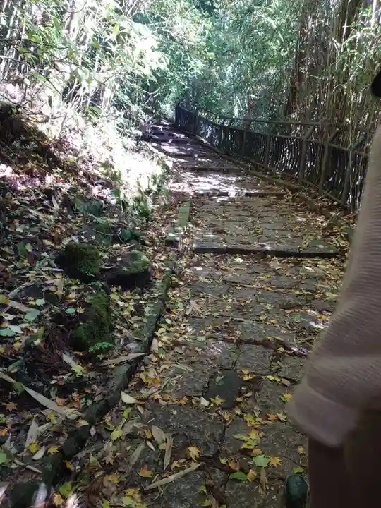 箱根神社(神奈川県)