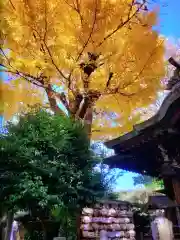 小野照崎神社(東京都)