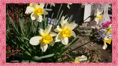 於菊稲荷神社(群馬県)
