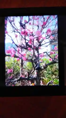 大和天満宮のその他建物