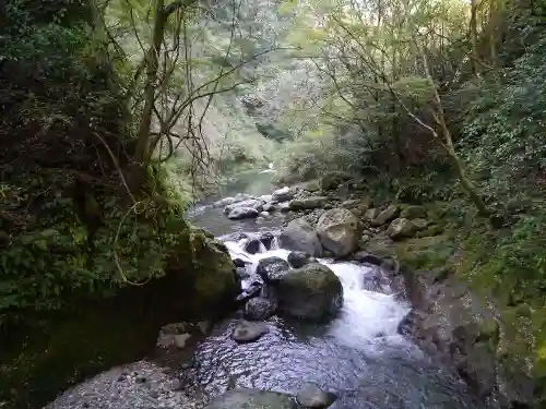 天岩戸神社の自然