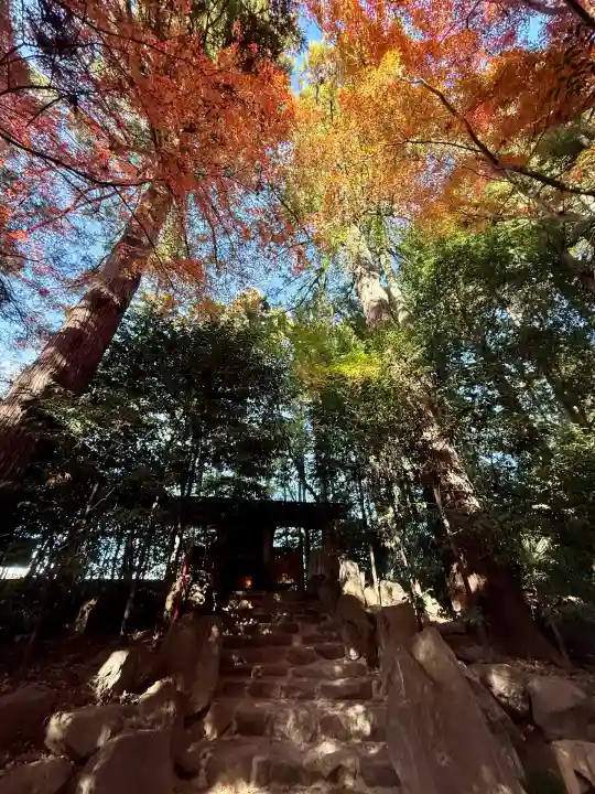 渋川八幡宮(群馬県)