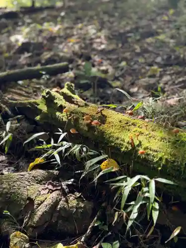 諏訪大社(長野県)