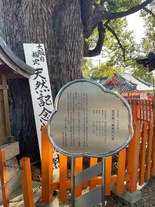百舌鳥八幡宮(大阪府)