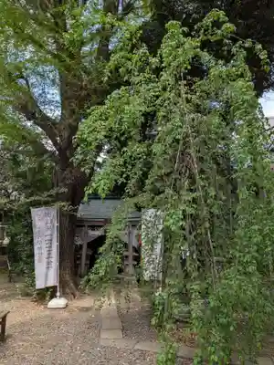 上目黒氷川神社(東京都)